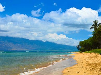 Delightful Maui Vacation Option Call Your Emerald Kite Agent